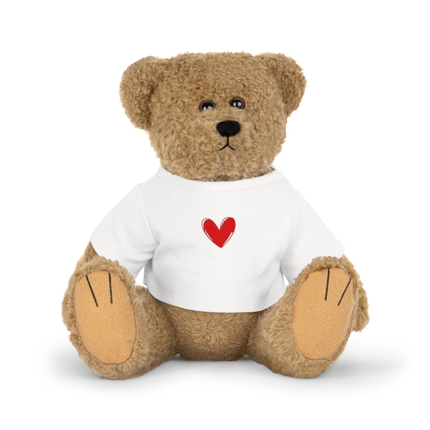 Valentines Teddy Bear