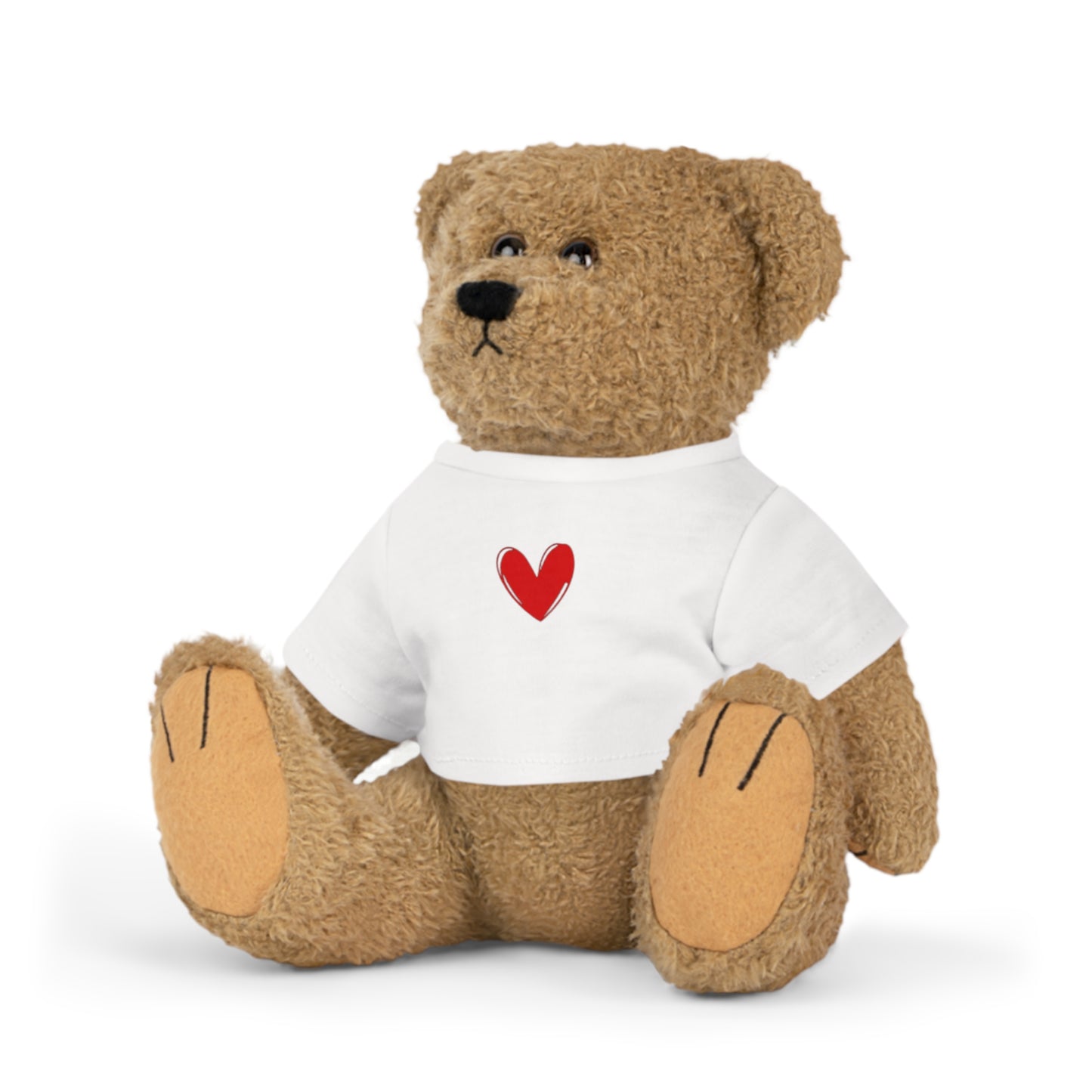 Valentines Teddy Bear